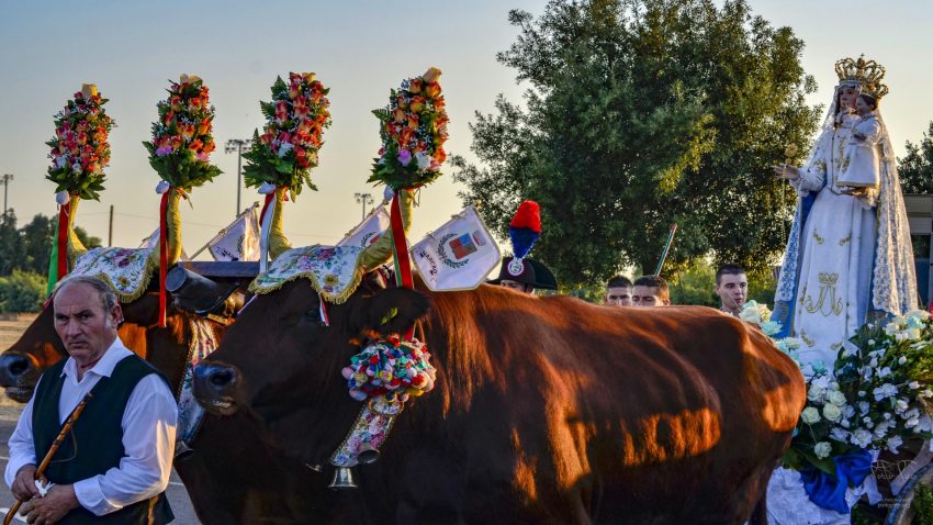 Festa Beata Vergine del Rosario - Villaperuccio​