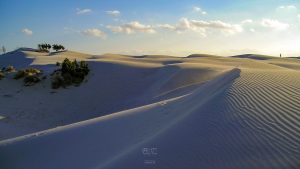 Dune Porto Pino