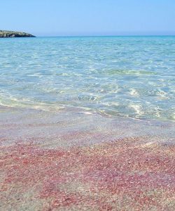 PortoPino _ Spiaggia Porto Pinetto